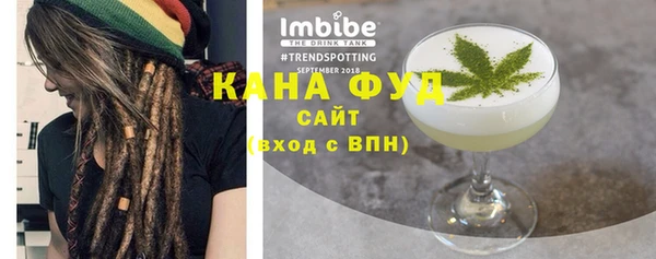 стаф Аркадак