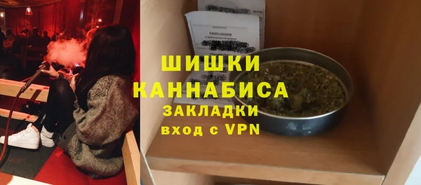 стаф Аркадак