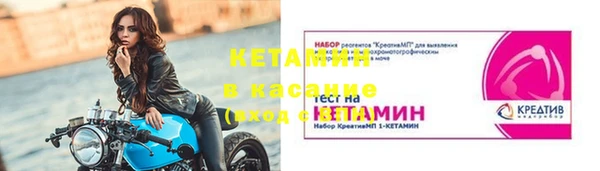 сатива Балахна