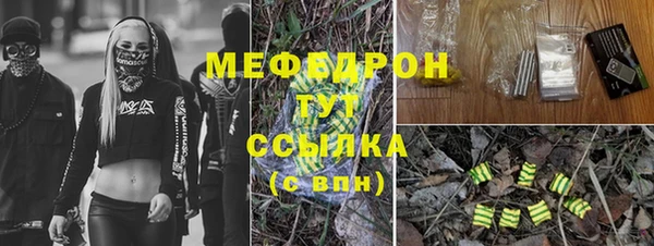 стаф Аркадак