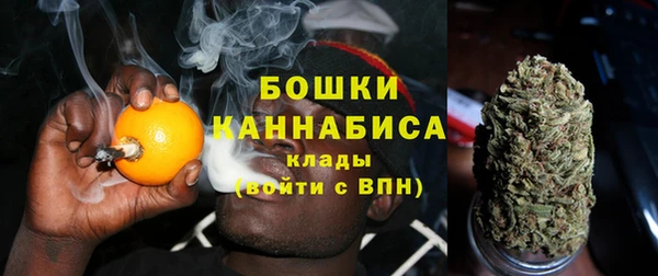 стаф Аркадак