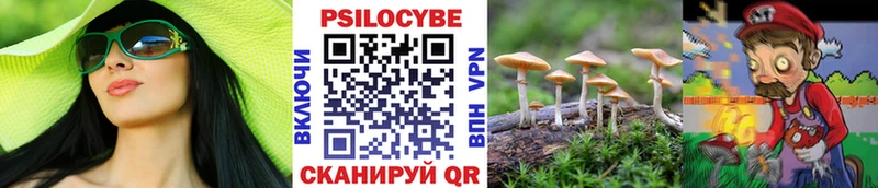 Купить где Тарко-Сале Галлюциногенные грибы Magic Shrooms
